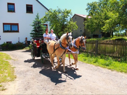 Foto: Reiterhof Pfitzner